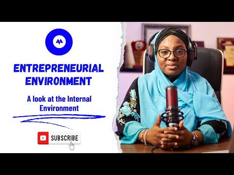 Entrepreneurial Environment: A Look at the Internal Environment [Video]