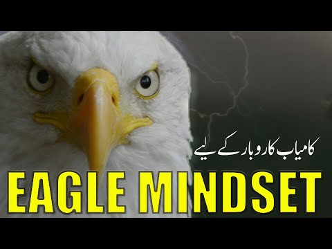 Small Business Ideas 2024 | Eagle Mindset | Ideas for Business in Pakistan [Video]