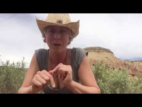 Women Rocking Business(Video) LIVE from Ghost Ranch