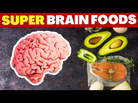 How the Food you Eat Affects your BRAIN [Video]