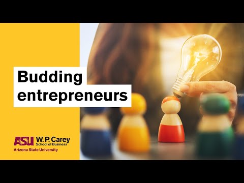 Budding entrepreneurs | Entrepreneurial Mindset [Video]