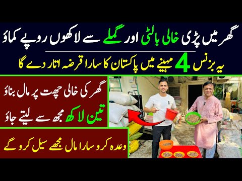 Business ideas in pakistan 2024 | low investment business idea | Business for Future [Video]