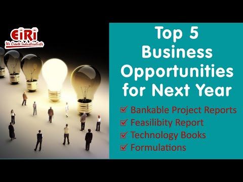 Top 5 Business Ideas for Next Year [Video]