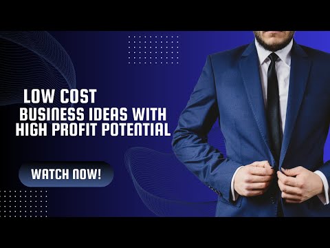 Low Cost Business Ideas with HIGH Profit Potential [Video]