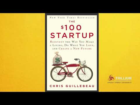 The $100 Startup Summary [Video]