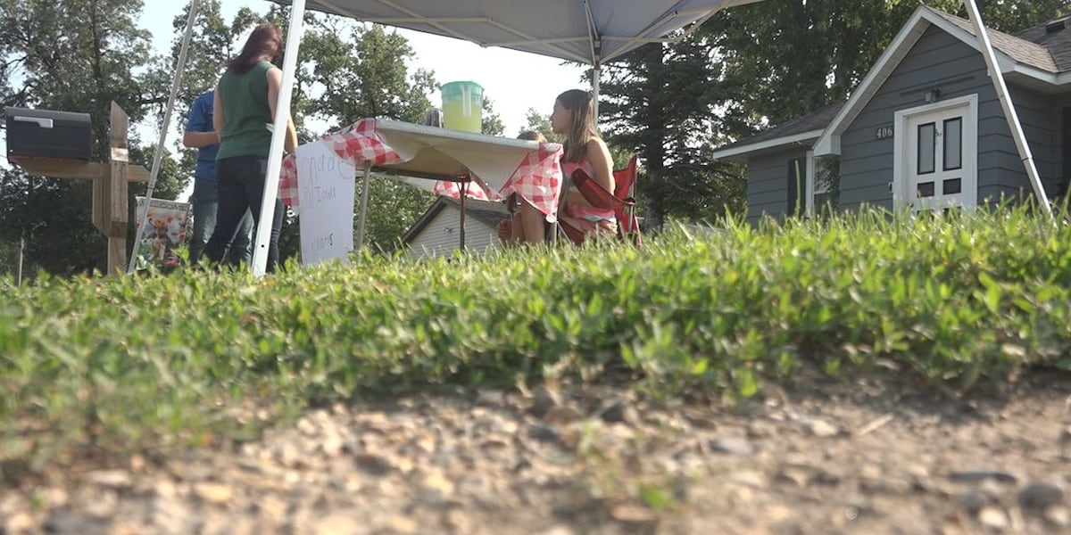 Clear Lake kids raise money for flood relief with lemonade stand [Video]