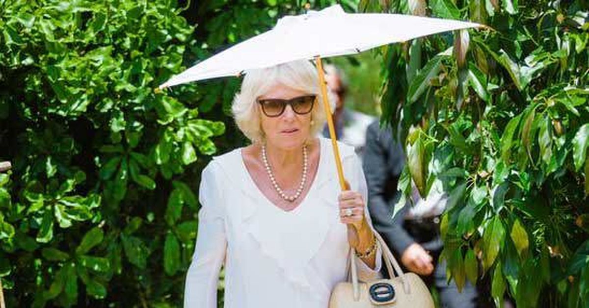 A Perth mum and daughter made a parasol fit for a Queen. It changed their lives [Video]